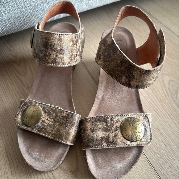 Taos Footwear Brown Sandals with Ankle Straps - Picture 1 of 6